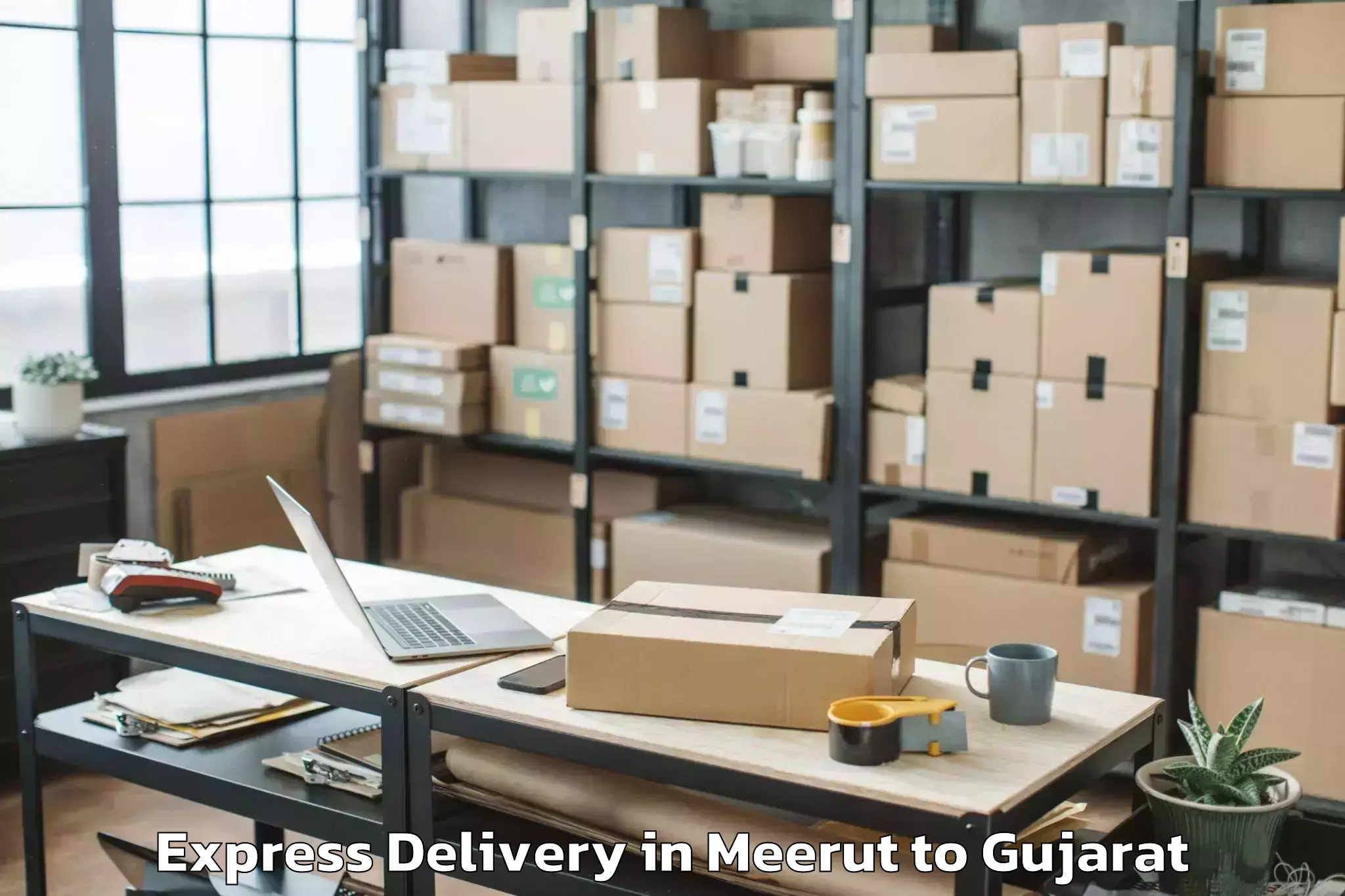 Book Meerut to Vansda Express Delivery Online